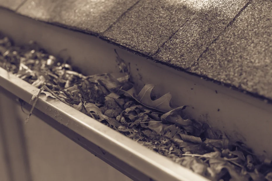 Terrell Hills Gutter Cleaning