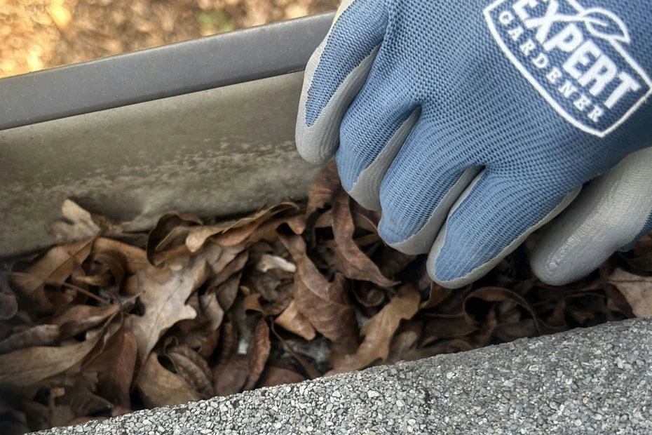Terrell Hills Gutter Cleaning