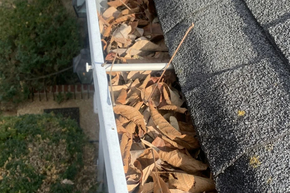Terrell Hills Gutter Cleaning