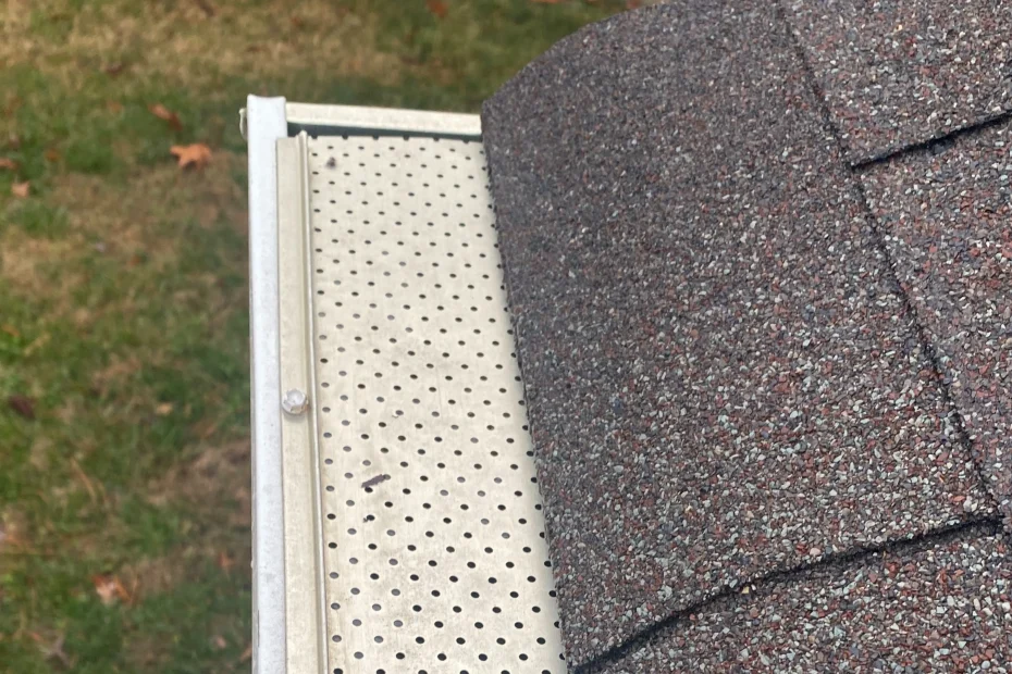 Terrell Hills Gutter Cleaning